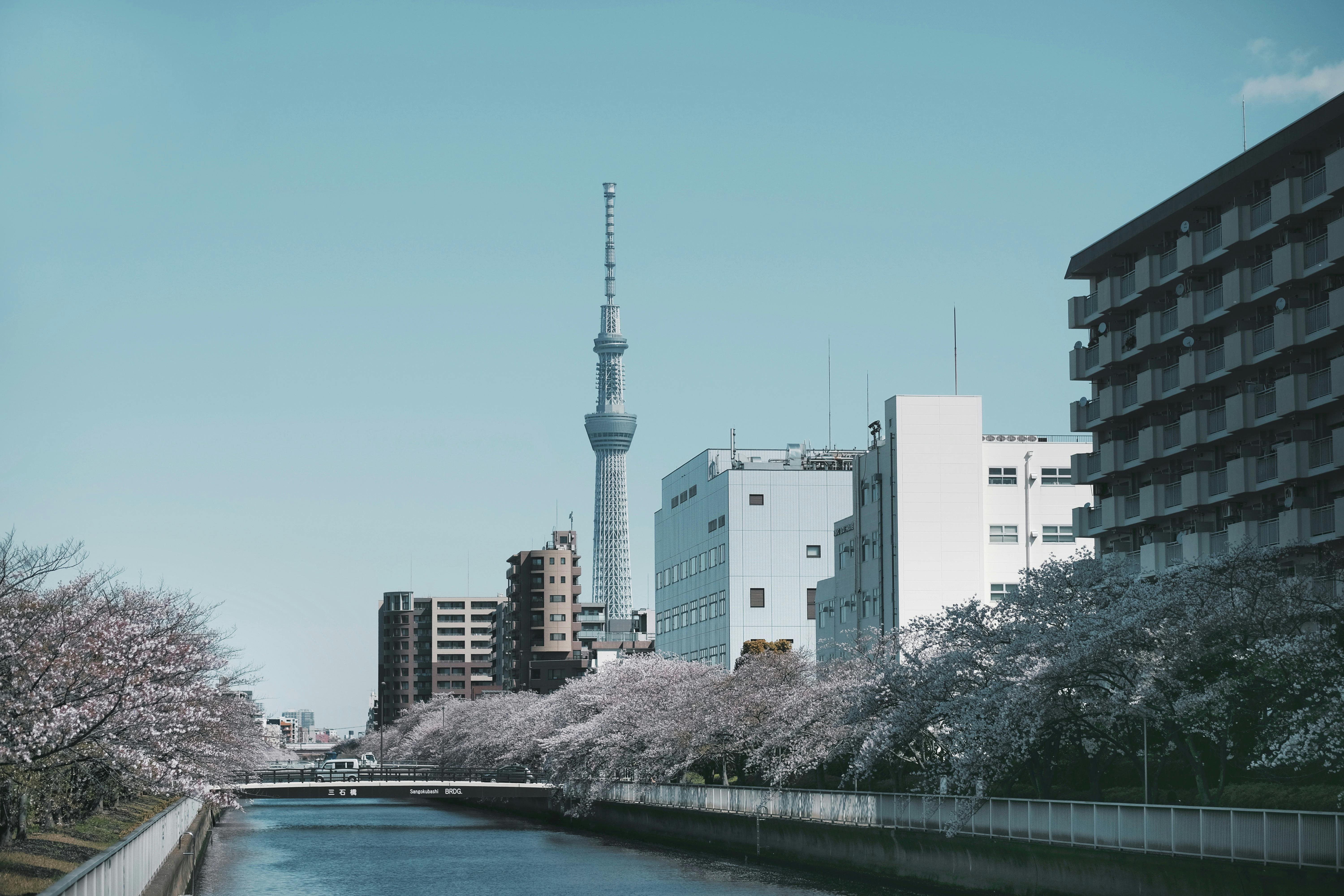 Tokyo, Japan